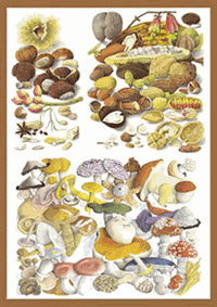 Ark - Decoupage Efterårets svampe og nødder